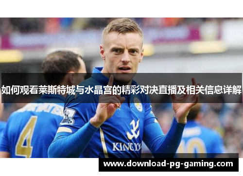 如何观看莱斯特城与水晶宫的精彩对决直播及相关信息详解