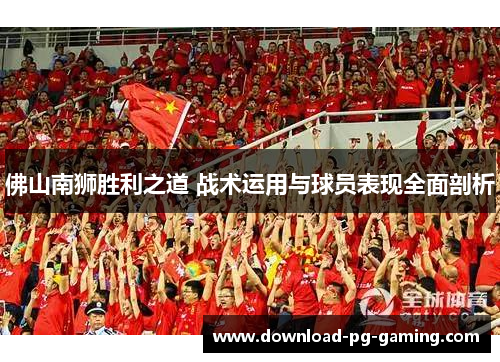 佛山南狮胜利之道 战术运用与球员表现全面剖析