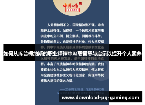 如何从库普梅纳斯的职业精神中汲取智慧与启示以提升个人素养