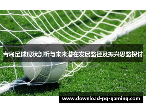 青岛足球现状剖析与未来潜在发展路径及振兴思路探讨